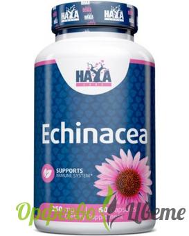 ХРАНИТЕЛНИ ДОБАВКИ Антиоксиданти Хая Лабс Ехинацея 250 мг * 60 капс./HAYA LABS Echinacea 250 mg / 60 Caps